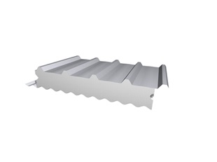 Ritek Ecotek™ Roof Panel